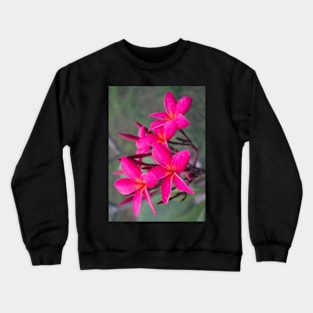 plumeria-flowers-frangipani-floral-blossom-purple-shirtyshirto-23 Crewneck Sweatshirt